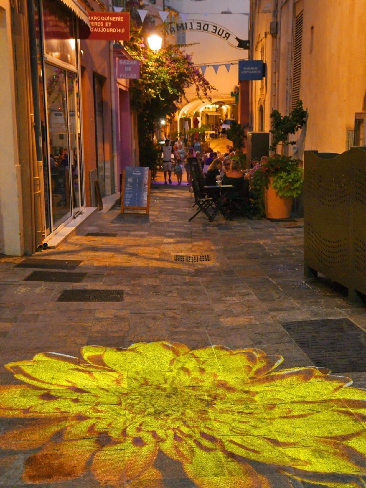 Le Palmae, Serenite Et Charme En Coeur De Ville Hyères Exterior foto